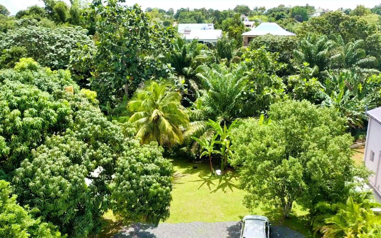 Green Lord Domaine - Lodges Piscine & Spa - Bar & Lounge - Restaurant Gastronomique Lamentin Exterior foto